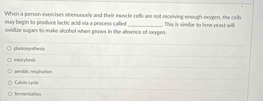 When a person exercises strenuously and their muscle cells are not receiving enough oxygen, the cells
may begin to produce lactic acid via a process called _. This is similar to how yeast will
oxidize sugars to make alcohol when grown in the absence of oxygen.
photosynthesis
exocytosis
aerobic respiration
Calvin cycle
fermentation