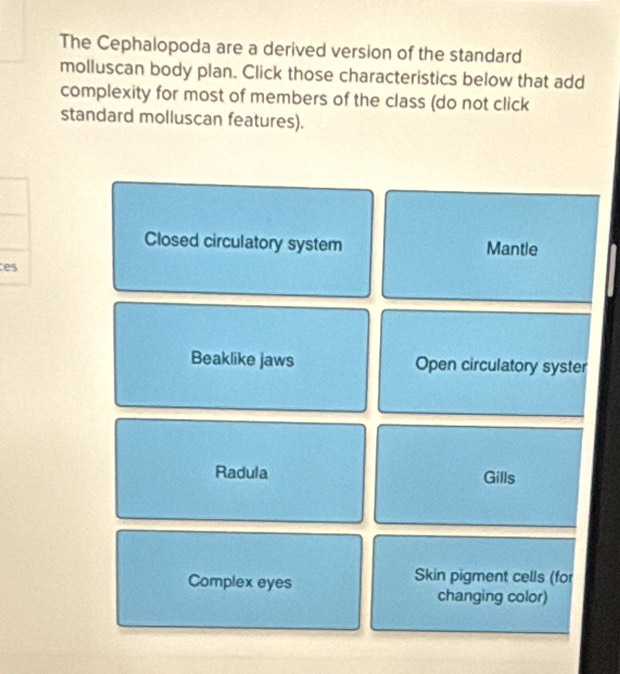 The Cephalopoda are a derived version of the standard 
molluscan body plan. Click those characteristics below that add 
complexity for most of members of the class (do not click 
standard molluscan features). 
Closed circulatory system Mantle 
es 
Beaklike jaws Open circulatory syster 
Radula Gills 
Complex eyes Skin pigment cells (for 
changing color)