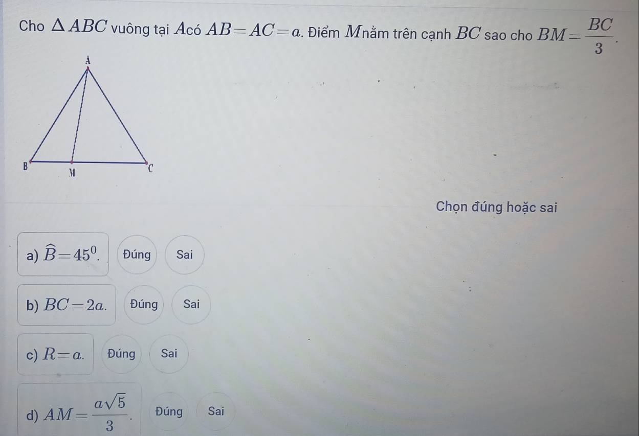 Cho △ ABC vuông tại Acó AB=AC=a. Điểm Mnằm trên cạnh BC sao cho BM= BC/3 . 
Chọn đúng hoặc sai
a) widehat B=45°. Đúng Sai
b) BC=2a. Đúng Sai
c) R=a. Đúng Sai
d) AM= asqrt(5)/3 . Đúng Sai