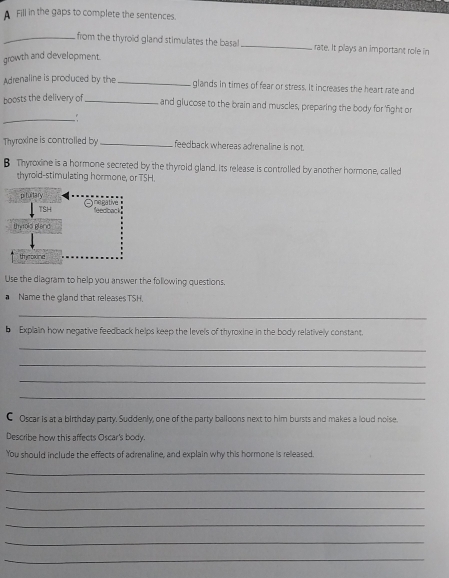 A Fill in the gaps to complete the sentences.
_from the thyroid gland stimulates the basa!_ rate. It plays an important role in
growth and development.
Adrenaline is produced by the _glands in times of fear or stress. It increases the heart rate and
boosts the delivery of_
_
and glucose to the brain and muscles, preparing the body for 'fight or
Thyroxine is controlled by _feedback whereas adrenaline is not.
B. Thyroxine is a hormone secreted by the thyrold gland. Its release is controlled by another hormone, called
thyroid-stimulating hormone, or TSH.
pituitary negative
TSH feedback
thyrold gland
thymoxine
Use the diagram to help you answer the following questions.
Name the gland that releases TSH.
_
b Explain how negative feedback helps keep the levels of thyroxine in the body relatively constant.
_
_
_
_
C Oscar is at a birthday party. Suddenly, one of the party balloons next to him bursts and makes a loud noise.
Describe how this affects Oscar's body.
You should include the effects of adrenaline, and explain why this hormone is released
_
_
_
_
_
_