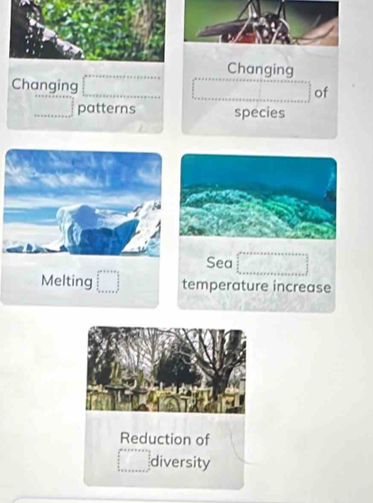 Changing 
Changing 
of 
patterns species 
Sea 
Melting temperature increase