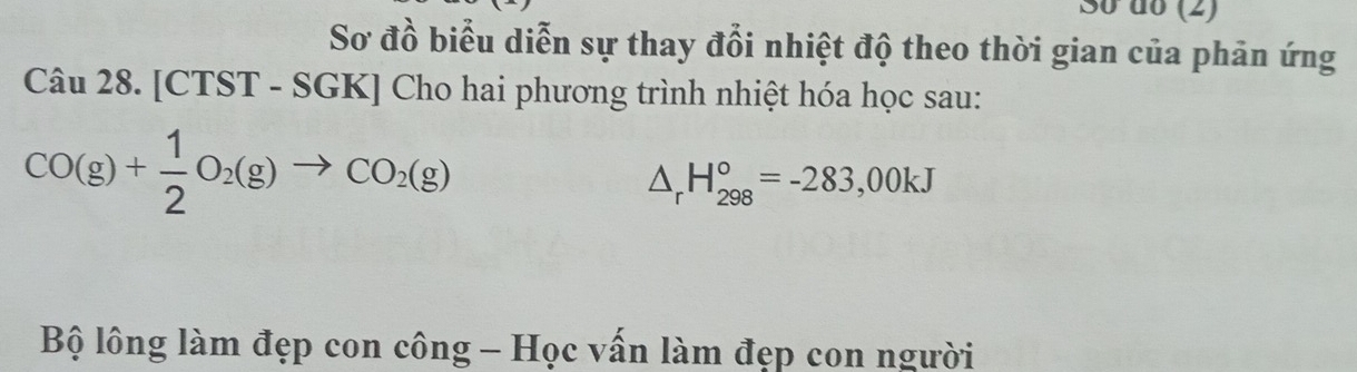 So do (2) 
Sơ đồ biểu diễn sự thay đổi nhiệt độ theo thời gian của phản ứng 
Câu 28. [CTST - SGK] Cho hai phương trình nhiệt hóa học sau:
CO(g)+ 1/2 O_2(g)to CO_2(g)
△ _rH_(298)°=-283,00kJ
Bộ lông làm đẹp con công - Học vấn làm đẹp con người