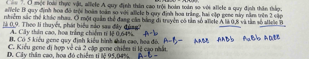 Cầu 7. Ở một loài thực vật, allele A quy định thân cao trội hoàn toàn so với allele a quy định thân thấp;
allele B quy định hoa đỏ trội hoàn toàn so với allele b quy định hoa trắng, hai cặp gene này nằm trên 2 cặp
nhiễm sắc thể khác nhau. Ở một quần thể đang cân bằng đi truyền có tần số allele A là 0,8 và tần số allele B
là 0.9. Theo lí thuyết, phát biểu nào sau đây đúng?
A. Cây thân cao, hoa trắng chiếm tỉ lệ 0,64%.
B. Có 5 kiểu gene quy định kiểu hình thân cao, hoa đỏ.
C. Kiểu gene dị hợp về cả 2 cặp gene chiếm tỉ lệ cạo nhất.
D. Cây thân cao, hoa đỏ chiếm tỉ lệ 95,04%.