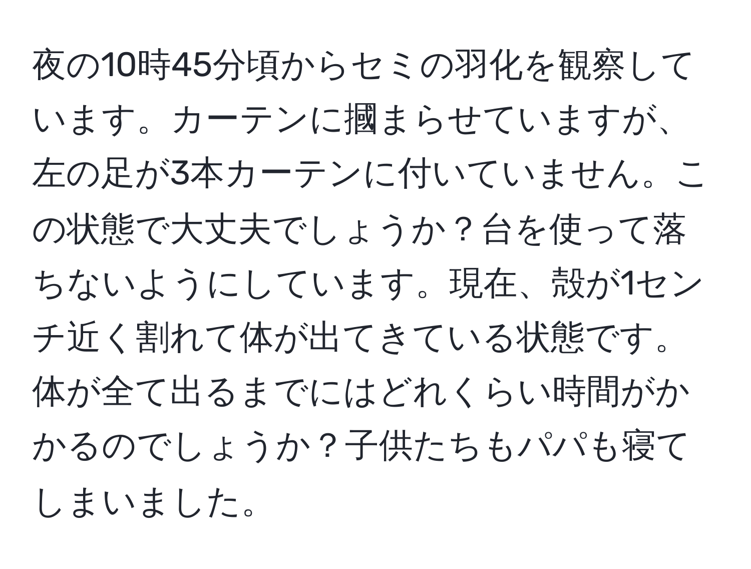 夜の10時45分頃からセミの羽化を観察しています。カーテンに摑まらせていますが、左の足が3本カーテンに付いていません。この状態で大丈夫でしょうか？台を使って落ちないようにしています。現在、殻が1センチ近く割れて体が出てきている状態です。体が全て出るまでにはどれくらい時間がかかるのでしょうか？子供たちもパパも寝てしまいました。