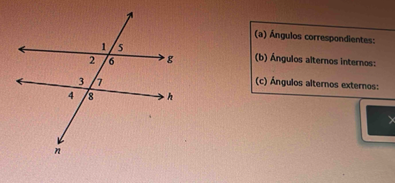 Ángulos correspondientes: 
(b) Ángulos alternos internos: 
(c) Ángulos alternos externos: