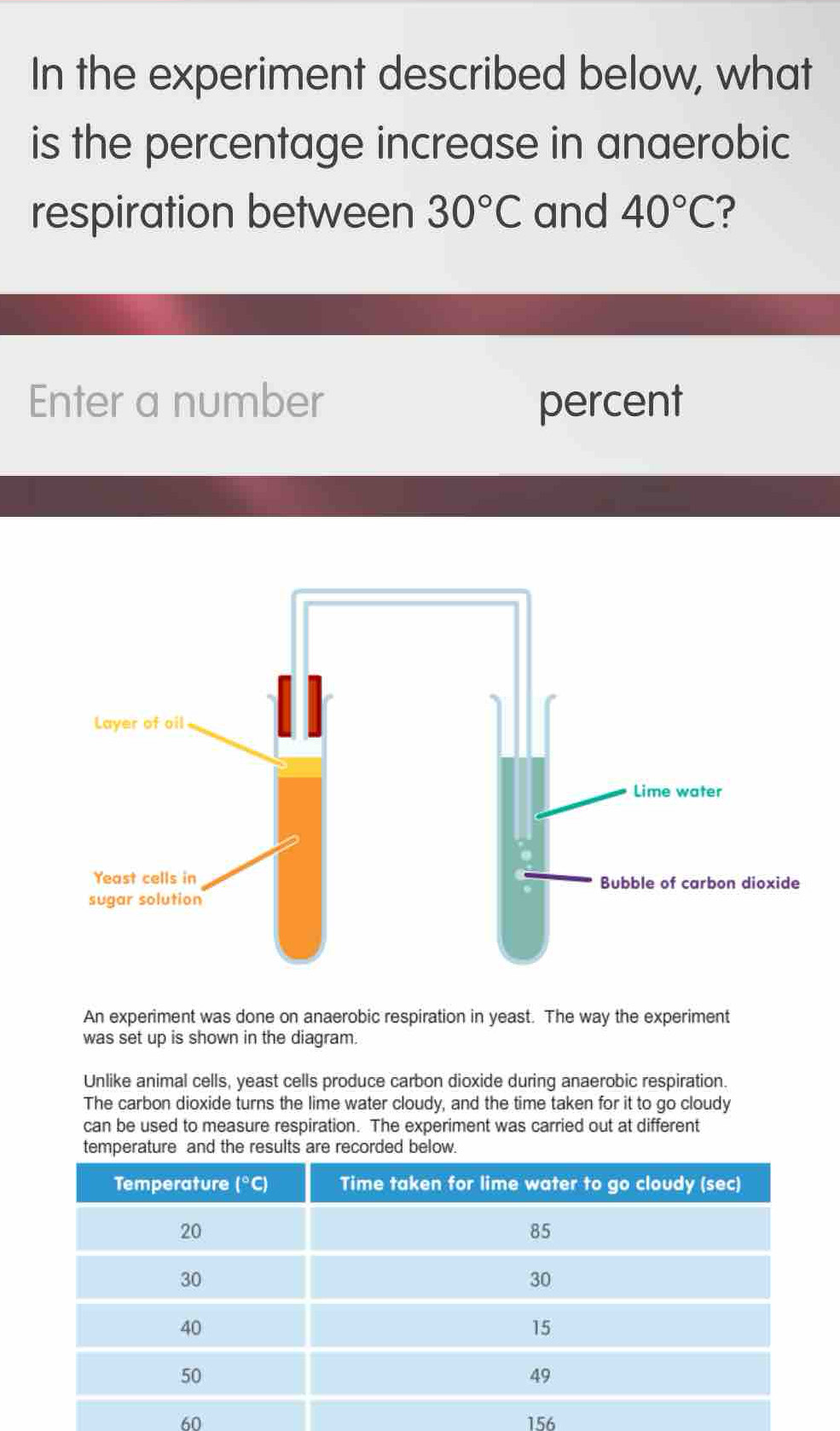 In the experiment described below, what
is the percentage increase in anaerobic
respiration between 30°C and 40°C
Enter a number percent
An experiment was done on anaerobic respiration in yeast. The way the experiment
was set up is shown in the diagram.
Unlike animal cells, yeast cells produce carbon dioxide during anaerobic respiration.
The carbon dioxide turns the lime water cloudy, and the time taken for it to go cloudy
can be used to measure respiration. The experiment was carried out at different
temperature and the results are recorded below.
60 156