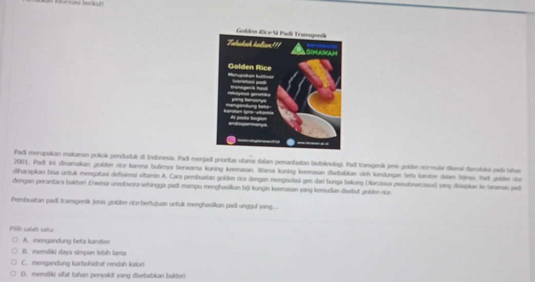 an informasi beriut!
Padi merupakan makanan pokok penduduk di Indonesia. Padi menjadi prioritas utama dalam pemanfaatan bioteknologi. Padi transgenik jenis goblen rice mulai dikeraí dipmduksi zada tahum
2001. Padi ini dinamakan golden nice karena bulimya berwarna kuning keemasan. Warna kuning keemasan disebabkan oleh kandungan beta karoten daiam bijinys. Padi goidem ron
diharapkan bisa untuk mengatasi defisiensi vitamin A. Cara pembuatan golden rice dengan mengisolasi gen dari bunga bakung (Narcíssus pseudlonarcssus) yang disisipian ke tanamm pale
dengan perantara bakteri Erwinia uredovora sehingga padi mampu menghasilkan biji kungin keemasan yang kemudian disebut golden rice
Pembuatan padi transgenik jenis golden rice bertujuan untuk menghasilkan padi unggul yang.....
Pilih salah satu
A. mengandung beta karoten
B. memiliki daya simpan lebih lama
C. mengandung karbohidral rendah kalori
D. memiliki sifat tahan penyakit yang disebabkan bakteri