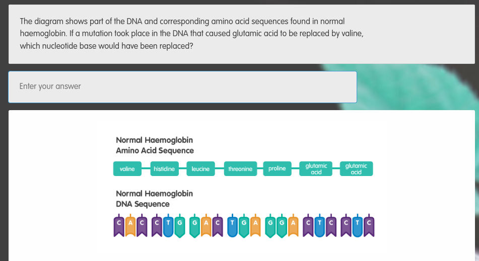 Solved: The diagram shows part of the DNA and corresponding amino acid ...