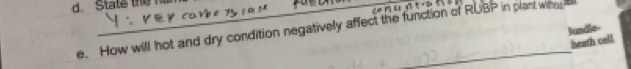 State the hun 
e. How will hot and dry condition negatively affect the function of RUBP in plant whe sl Jundle- 
heath cell