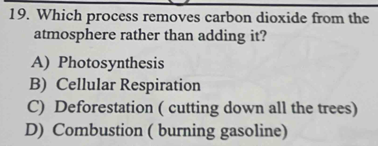 Which process removes carbon dioxide from the
atmosphere rather than adding it?
A) Photosynthesis
B) Cellular Respiration
C) Deforestation ( cutting down all the trees)
D) Combustion ( burning gasoline)