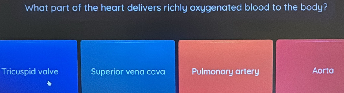 What part of the heart delivers richly oxygenated blood to the body?
Tricuspid valve Superior vena cava Pulmonary artery Aorta