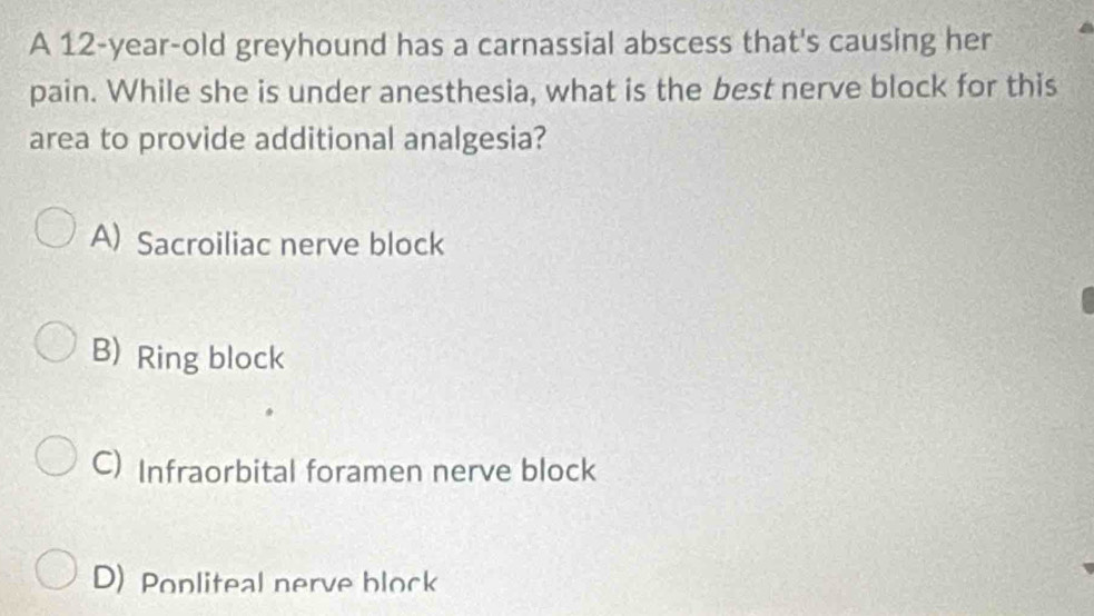 Solved: A 12-year-old greyhound has a carnassial abscess that's causing ...