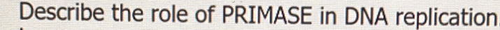 Describe the role of PRIMASE in DNA replication