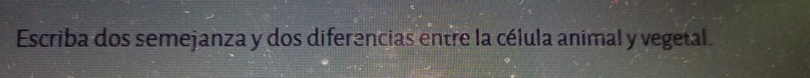 Escriba dos semejanza y dos diferencias entre la célula animal y vegetal.