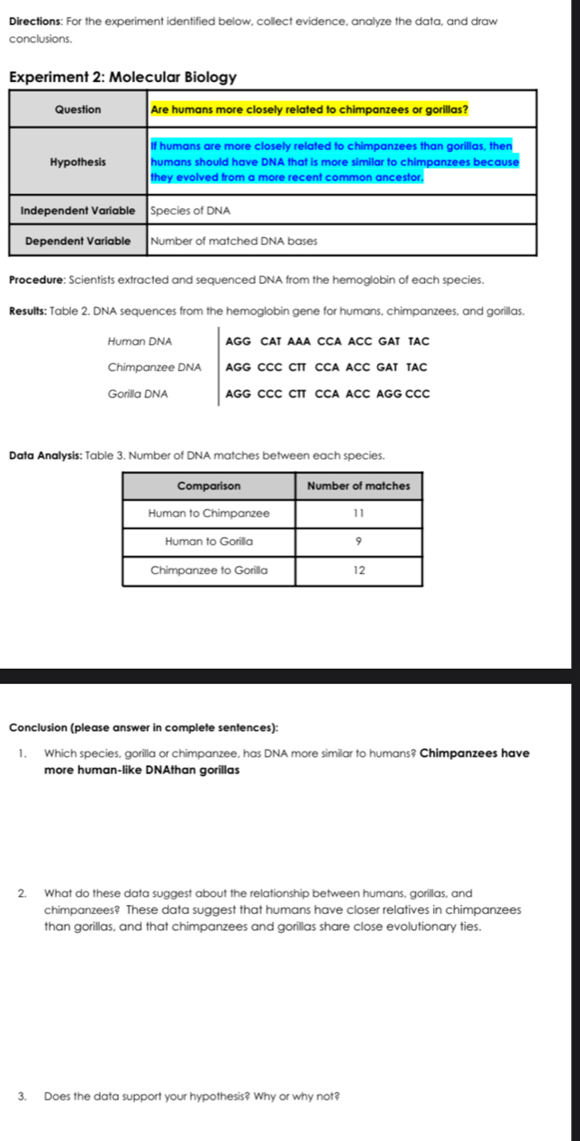 Directions: For the experiment identified below, collect evidence, analyze the data, and draw 
conclusions. 
Experiment 2: Molecular Biology 
Procedure: Scientists extracted and sequenced DNA from the hemoglobin of each species. 
Results: Table 2. DNA sequences from the hemoglobin gene for humans, chimpanzees, and gorillas. 
Human DNA AGG CAT AAA CCA ACC GAT TAC 
Chimpanzee DNA AGG CCC CTT CCA ACC GAT TAC 
Gorilla DNA AGG CCC CTT CCA ACC AGG CCC 
Data Anallysis: Table 3. Number of DNA matches between each species. 
Conclusion (please answer in complete sentences): 
1. Which species, gorilla or chimpanzee, has DNA more similar to humans? Chimpanzees have 
more human-like DNAthan gorillas 
2. What do these data suggest about the relationship between humans, gorillas, and 
chimpanzees? These data suggest that humans have closer relatives in chimpanzees 
than gorillas, and that chimpanzees and gorillas share close evolutionary ties. 
3. Does the data support your hypothesis? Why or why not?