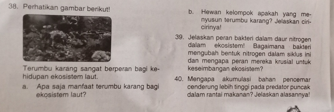 Perhatikan gambar berikut! b. Hewan kelompok apakah yang me- 
nyusun terumbu karang? Jelaskan ciri- 
cirinya! 
39. Jelaskan peran bakteri dalam daur nitrogen 
dalam ekosistem! Bagaimana bakteri 
mengubah bentuk nitrogen dalam siklus ini 
dan mengapa peran mereka krusial untuk 
Terumbu karang sangat berperan bagi ke- keseimbangan ekosistem? 
hidupan ekosistem laut. 40. Mengapa akumulasi bahan pencemar 
a. Apa saja manfaat terumbu karang bagi cenderung lebih tinggi pada predator puncak 
ekosistem laut? dalam rantai makanan? Jelaskan alasannya!