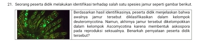 Seorang peserta didik melakukan identifikasi terhadap salah satu spesies jamur seperti gambar berikut.