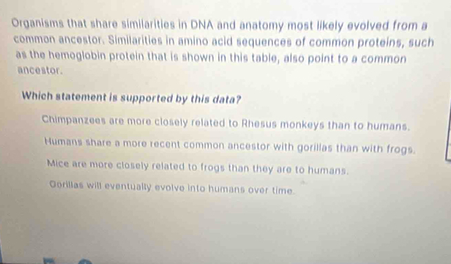 Organisms that share similarities in DNA and anatomy most likely evolved from a
common ancestor. Similarities in amino acid sequences of common proteins, such
as the hemoglobin protein that is shown in this table, also point to a common
ancestor.
Which statement is supported by this data?
Chimpanzees are more closely related to Rhesus monkeys than to humans.
Humans share a more recent common ancestor with gorillas than with frogs.
Mice are more closely related to frogs than they are to humans.
Gorillas will eventually evolve into humans over time.