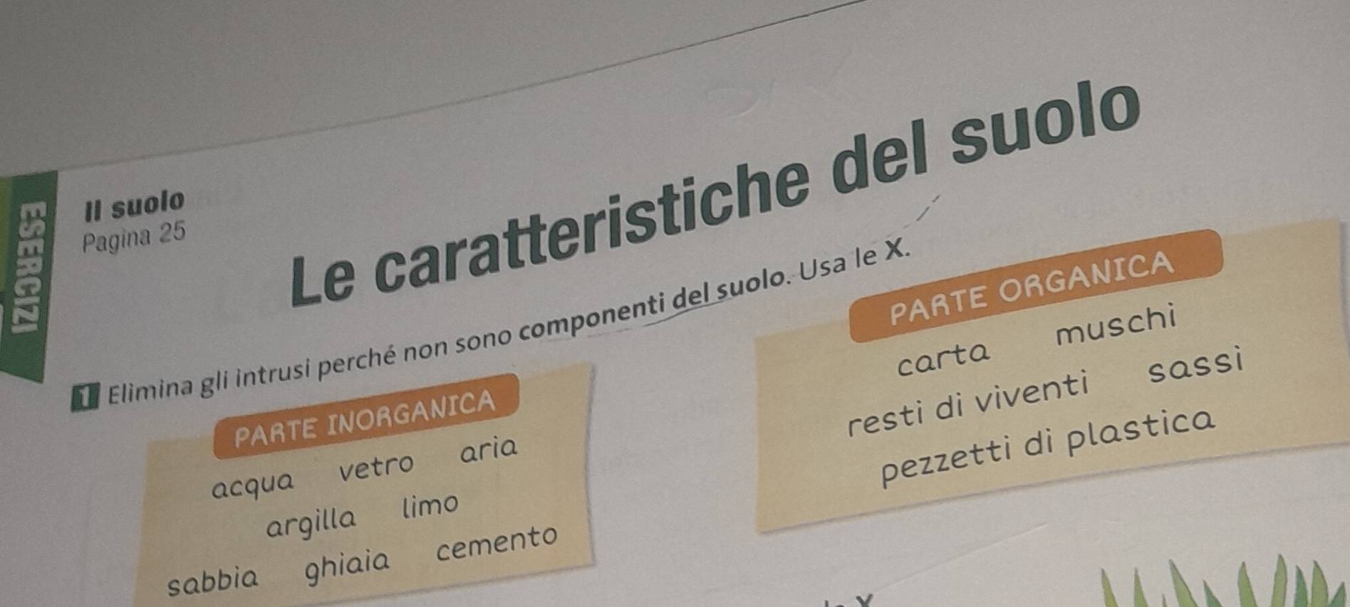 Le caratteristiche del suolo
Il suolo
Pagina 25
PARTE ORGANICA
l Elimina gli intrusi perché non sono componenti del suolo. Usa le X
carta muschi
sassì
resti di viventi
PARTE INORGANICA
acqua vetro
pezzetti di plastica
aria
argilla limo
sabbia ghiaia cemento