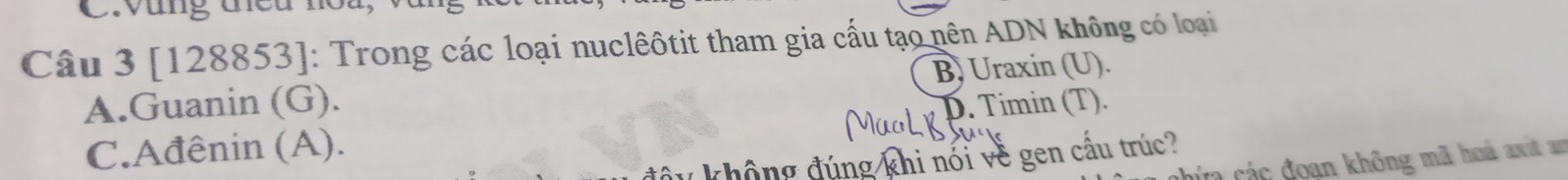 Vùng tều hoa,
Câu 3 [128853]: Trong các loại nuclêôtit tham gia cấu tạo nên ADN không có loại
A.Guanin (G). B) Uraxin (U).
C.Ađênin (A). D. Timin (T).
không đúng khi nói về gen câu trúc?
cứa các đoạn không mã hoá axit an