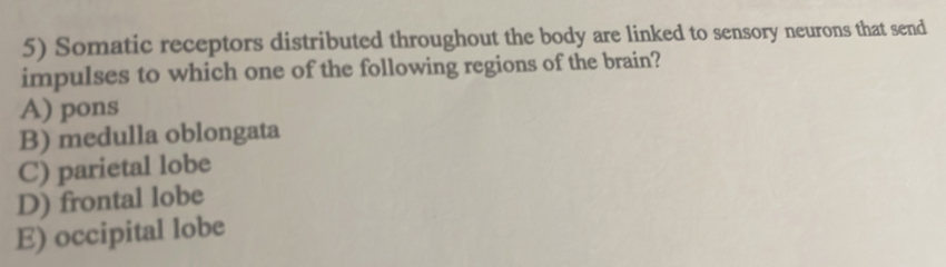 Somatic receptors distributed throughout the body are linked to sensory neurons that send
impulses to which one of the following regions of the brain?
A) pons
B) medulla oblongata
C) parietal lobe
D) frontal lobe
E) occipital lobe