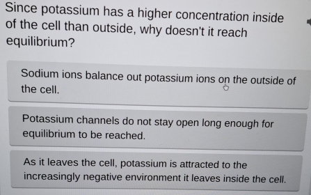 Since potassium has a higher concentration inside
of the cell than outside, why doesn't it reach
equilibrium?
Sodium ions balance out potassium ions on the outside of
the cell.
Potassium channels do not stay open long enough for
equilibrium to be reached.
As it leaves the cell, potassium is attracted to the
increasingly negative environment it leaves inside the cell.