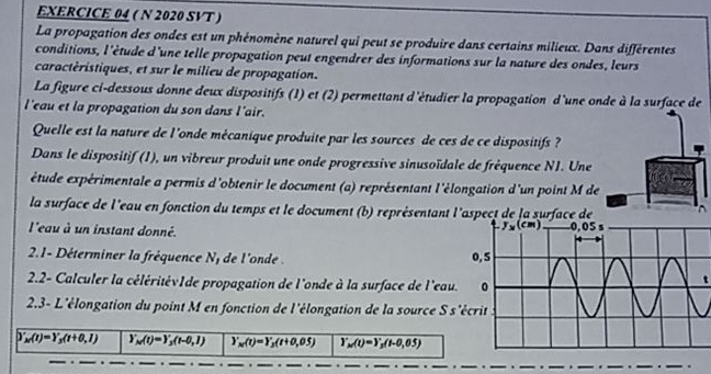 ( N 2020 SVT )
La propagation des ondes est un phénomène naturel qui peut se produire dans certains milieux. Dans différentes
conditions, l'étude d'une telle propagation peut engendrer des informations sur la nature des ondes, leurs
caractéristiques, et sur le milieu de propagation.
La figure ci-dessous donne deux dispositifs (1) et (2) permettant d'étudier la propagation d'une onde à la surface de
l'eau et la propagation du son dans l'air.
Quelle est la nature de l'onde mécanique produite par les sources de ces de ce dispositifs ?
Dans le dispositif (1), un vibreur produit une onde progressive sinusoïdale de frêquence N1. Une
étude expérimentale a permis d'obtenir le document (a) représentant l'élongation d'un point M de
la surface de l'eau en fonction du temps et le document (b) représentant l'aspect de la surface de
l'eau à un instant donné. _
2.1- Déterminer la fréquence N, de l'onde  
2.2- Calculer la céléritévIde propagation de l'onde à la surface de l'eau.
2.3- L'élongation du point M en fonction de l'élongation de la source S s'
)'_M(t)=Y_3(t+0,1) Y_N(t)=Y_3(t-0,1) Y_N(t)=Y_B(t+0,05) Y_M(t)=Y_B(t-0,05)