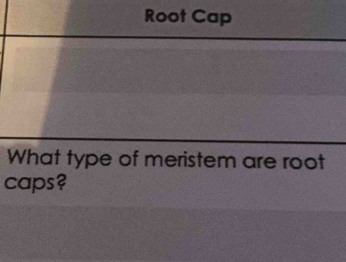 Solved: Root Cap What type of meristem are root caps? [Math]