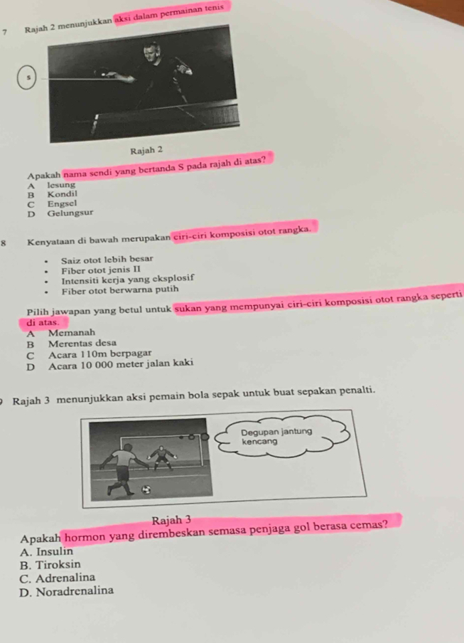 Raaksi dalam permainan tenis
s
Rajah 2
Apakah nama sendi yang bertanda S pada rajah di atas?
A lesung
B Kondil
C Engsel
D Gelungsur
8 Kenyataan di bawah merupakan ciri-ciri komposisi otot rangka.
Saiz otot lebih besar
Fiber otot jenis II
Intensiti kerja yang eksplosif
Fiber otot berwarna putih
Pilih jawapan yang betul untuk sukan yang mempunyai ciri-ciri komposisi otot rangka seperti
di atas.
A Memanah
B Merentas desa
C Acara 110m berpagar
D Acara 10 000 meter jalan kaki
Rajah 3 menunjukkan aksi pemain bola sepak untuk buat sepakan penalti.
Rajah 3
Apakah hormon yang dirembeskan semasa penjaga gol berasa cemas?
A. Insulin
B. Tiroksin
C. Adrenalina
D. Noradrenalina