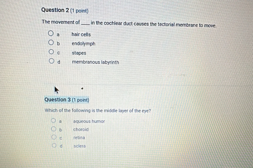 The movement of _in the cochlear duct causes the tectorial membrane to move.
a hair cells
b endolymph
C stapes
d membranous labyrinth
Question 3 (1 point)
Which of the following is the middle layer of the eye?
a aqueous humor
b choroid
C retina
d sclera