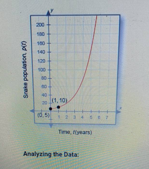 Analyzing the Data: