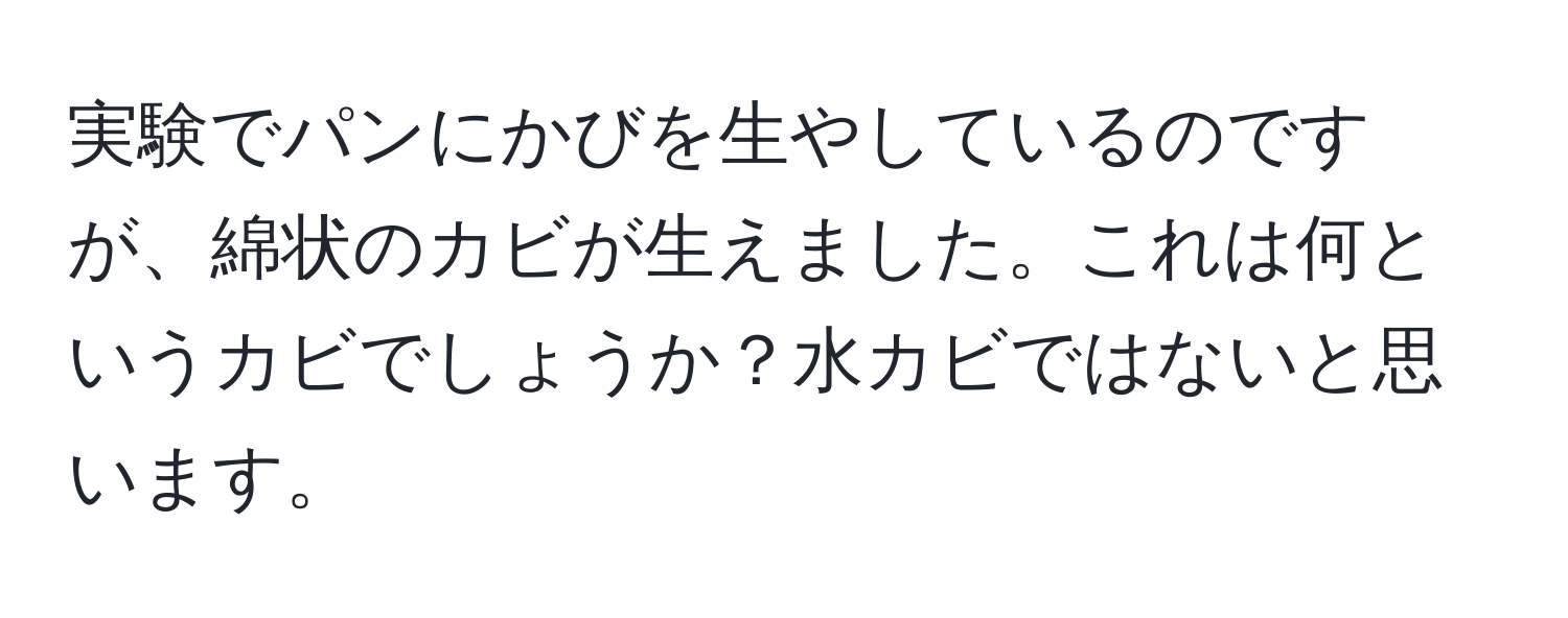 実験でパンにかびを生やしているのですが、綿状のカビが生えました。これは何というカビでしょうか？水カビではないと思います。