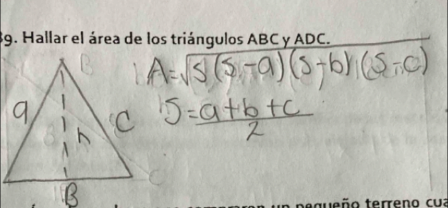 Hallar el área de los triángulos ABC y ADC. 
queño terreno cua