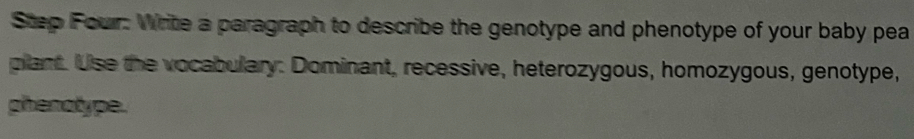 Step Four: Write a paragraph to describe the genotype and phenotype of your baby pea 
plant. Use the vocabulary. Dominant, recessive, heterozygous, homozygous, genotype, 
phenatype.