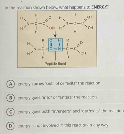 In the reaction shown below, what happens to ENERGY?
A   energy comes ''out'' of or ''exits'' the reaction
B) energy goes ''into'' or ''enters'' the reaction
C ) energy goes both ''in/enters'' and ''out/exits'' the reaction
D energy is not involved in this reaction in any way