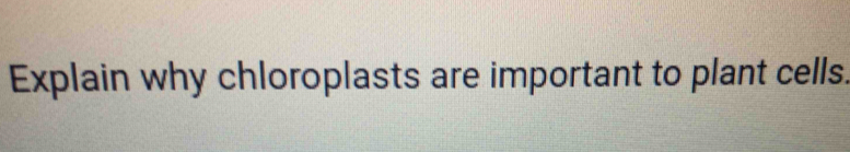 Explain why chloroplasts are important to plant cells.