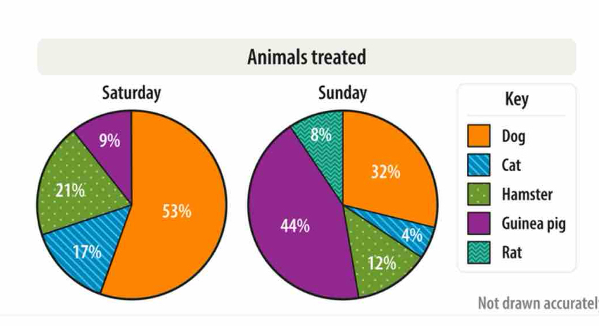 Animals treated 
Key 
Dog 
Cat 
Hamster 
Guinea pig 
Rat 
Not drawn accuratel