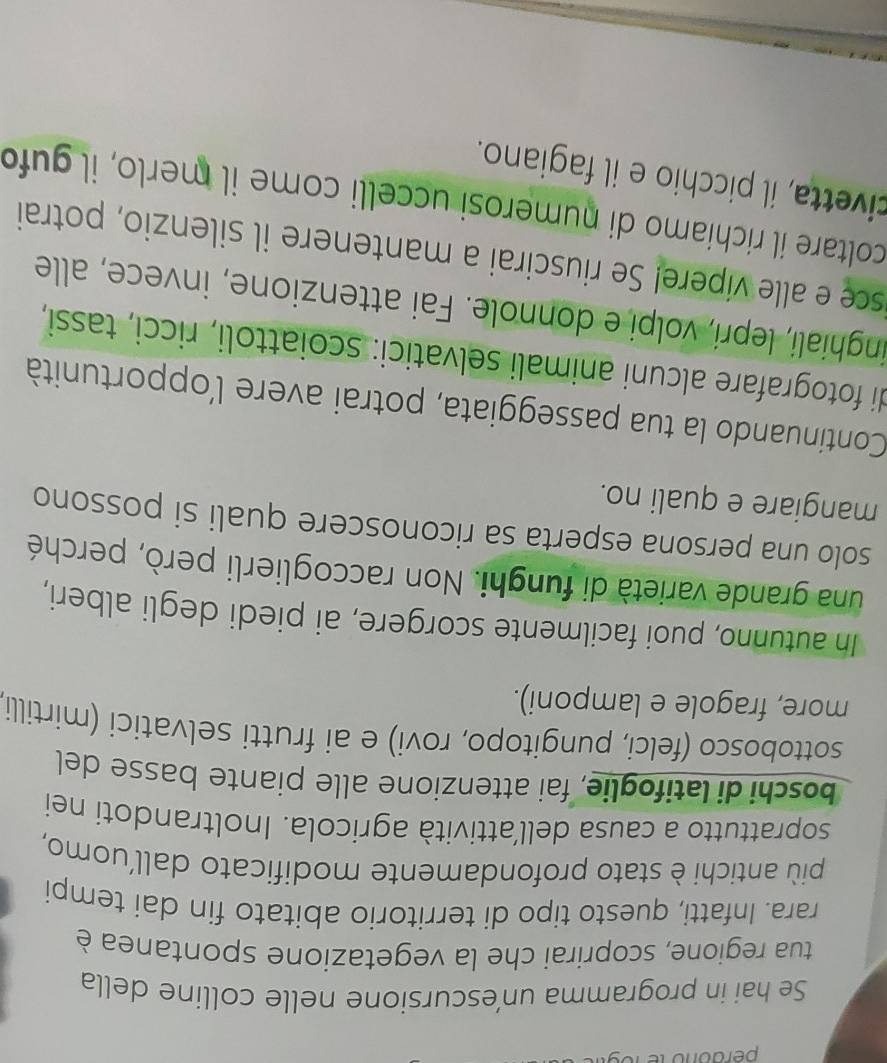 Se hai in programma un’escursione nelle colline della 
tua regione, scoprirai che la vegetazione spontanea è 
rara. Infatti, questo tipo di territorio abitato fin dai tempi 
più antichi è stato profondamente modificato dall’uomo, 
soprattutto a causa dell’attività agricola. Inoltrandoti nei 
boschi di latifoglie, fai attenzione alle piante basse del 
sottobosco (felci, pungitopo, rovi) e ai frutti selvatici (mirtilli 
more, fragole e lamponi). 
In autunno, puoi facilmente scorgere, ai piedi degli alberi, 
una grande varietà di funghi. Non raccoglierli però, perché 
solo una persona esperta sa riconoscere quali si possono 
mangiare e quali no. 
Continuando la tua passeggiata, potrai avere l'opportunità 
di fotografare alcuni animali selvatici: scoiattoli, ricci, tassi, 
inghiali, lepri, volpi e donnole. Fai attenzione, invece, alle 
sce e alle vípere! Se riuscirai a mantenere il silenzio, potrai 
coltare il richiamo di numerosi uccelli come il merlo, il gufo 
civetta, il picchio e il fagiano.