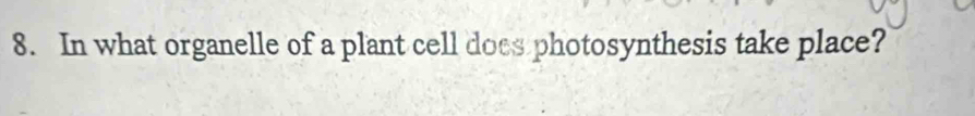 In what organelle of a plant cell does photosynthesis take place?