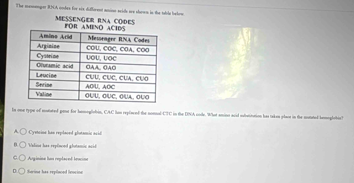 The messenger RNA codes for six different amino acids are shown in the table below.
meßenger rna COdes
In one type of mutated gene for hemoglobin, CAC has replaced the normal CTC in the DNA code. What amino acid substitution has taken place in the mutated hemoglobin?
A. Cysteine has replaced glutamic acid
B. Valine has replaced glutamic acid
C. Arginine has replaced leucine
D. Serine has replaced leucine