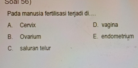 Soal 56)
Pada manusia fertilisasi terjadi di....
A. Cervix D. vagina
B. Ovarium E.endometrium
C. saluran telur