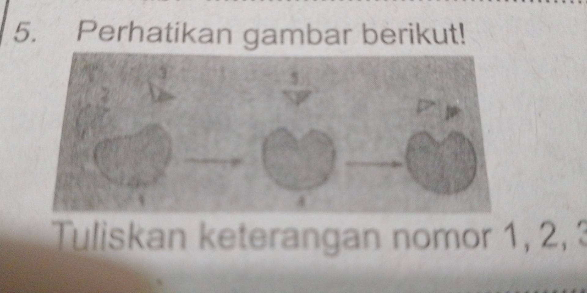 Perhatikan gambar berikut! 
Tuliskan keterangan nomor 1, 2,