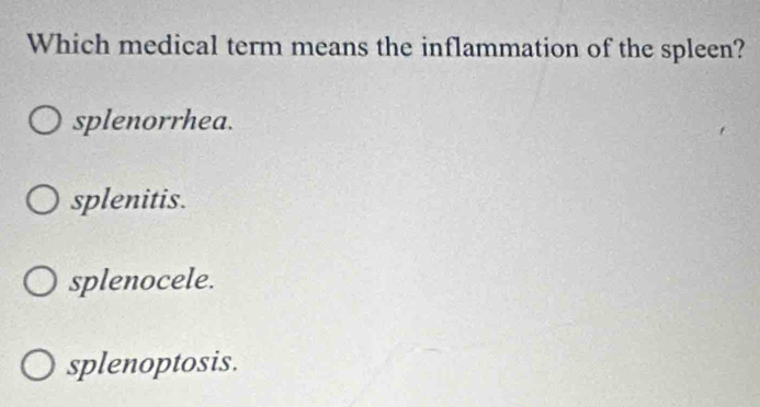 Which medical term means the inflammation of the spleen?
splenorrhea.
splenitis.
splenocele.
splenoptosis.