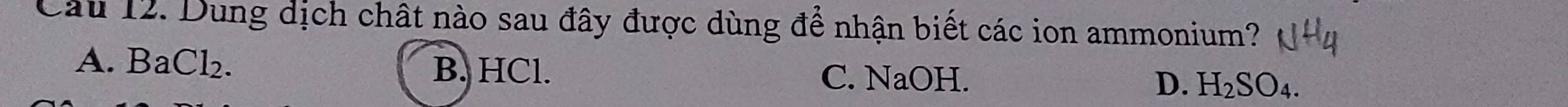 Dung dịch chất nào sau đây được dùng để nhận biết các ion ammonium?
A. BaCl₂. B. HCl. C. NaOH. D. H_2SO_4.
