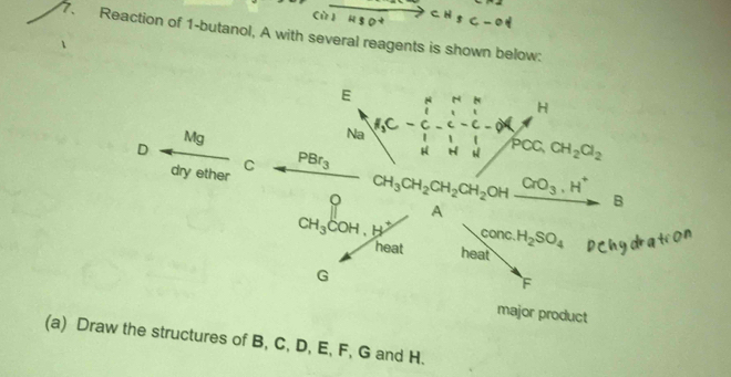 Reaction of 1 -butanol, A with several reagents is shown below:
E
H
Mg
Na c =
D
dry ether C PBr_3
PCC, CH_2Cl_2
。 CH_3CH_2CH_2CH_2 OH CrO_3, H^+ B 
A
CH_3COH, H^+ conc H_2SO_4 DChydration 
heat heat
G
F
major product 
(a) Draw the structures of B, C, D, E, F, G and H.