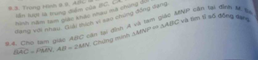 9.3, Trong Hình 9.9, ABC l 
lần lượt là trung điểm của BC, C=
MNP cân tại đỉnh M. Bil 
hình năm tam giác khác nhau mà chúng đo 
dạng với nhau. Giải thích vì sao chúng đồng dạng 
9.4. Cho tam giác ABC cân tại đỉnh / △ MNP∈fty △ ABC và tìm tỉ số đồng dạng
widehat BAC=widehat PMN, AB=2MN Chứng minh