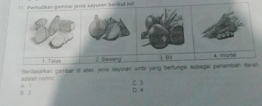 Perhatikan gambar jenis sayuran berikut ini!
2. Bawang 3. Bit 4. Wortel
Berdasarkan gambar di atas, jenis sayuran umbi yang berfungsi sebagai penambah darah
adalah nomor ....
A. 1
C. 3
B. 2 D. 4