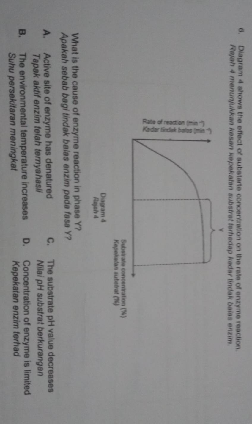 Diagram 4 shows the effect of substarte concentration on the rate of enzyme reaction.
Rajah 4 menunjukkan kesan kepekatan substrat terhadap kadar tindak balas enzim.
What is the cause of enzyme reaction in phase Y?
Apakah sebab bagi tindak balas enzim pada fasa Y?
A. Active site of enzyme has denatured C. The substrate pH value decreases
Tapak aktif enzim telah ternyahasli Nilai pH substrat berkurangan
B. The environmental temperature increases D. Concentration of enzyme is limited
Suhu persekitaran meningkat Kepekatan enzim terhad