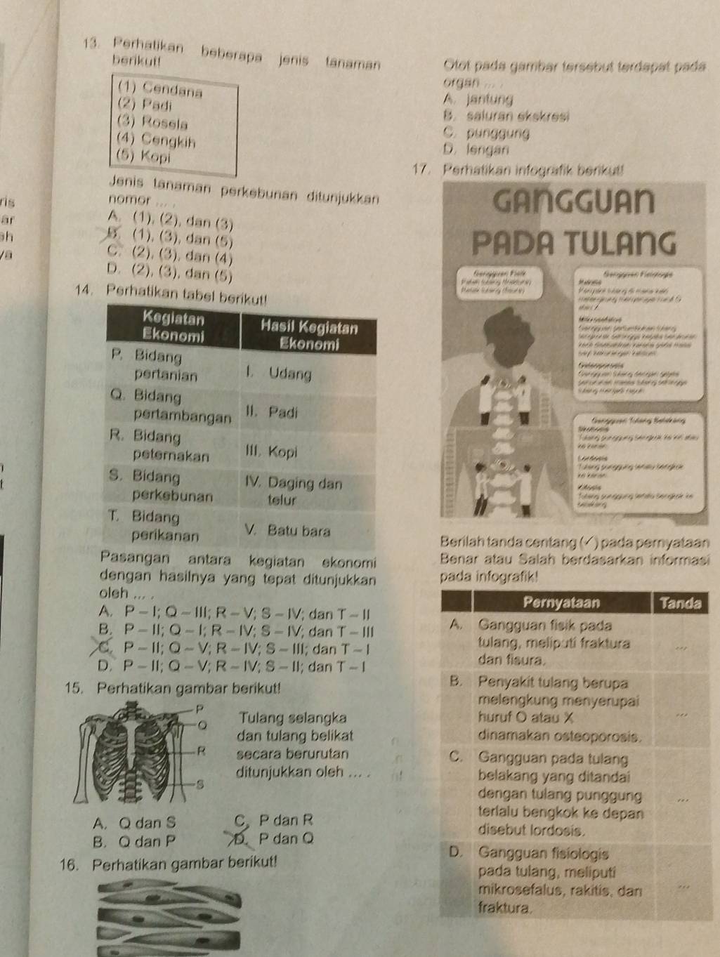 Perhatikan beberapa jenis tanaman Otot pada gambar tersebut terdapat pada
berikut!
(1) Cendana
orqan ...
(2) Padi
A. jantung
B. saluran ekskresi
(3) Rosela
C. punggung
(4) Cengkih
(5) Kopi
D. lengan
17. Perhatikan infografik berikut!
Jenis tanaman perkebunan ditunjukkan
nomor ... .
GANGGUAN
ris A. (1), (2), dan (3)
ar
h B. (1). (3), dan (5) PADA TULANG
C. (2). (3). dan (4)
D. (2), (3), dan (5)
Gengguen Fe
aa   M  Seiggríe Fegogíe
Panata Serry (Bre)    para   t       
14. Perhatikan ta
a   a        e   
Cgra C ag  Rçraao bra ia
Cre 
a        e  
Caere:Tdane Baldrang
     
T on thn ggng thn ga  he kt  a 
Tưáng sun g gung thu tengk ận
    
Toteng sun ggung lemes senghak ke 
     
Berilah tanda centang (╯ ) pada pernyataan
Pasangan antara kegiatan ekonomi  Benar atau Salah berdasarkan informasi
dengan hasilnya yang tepat ditunjukkan pada infografik!
oleh . _Pernyataan Tanda
A. P-I;Q-III;R-V;S-IV; dan T - II
B. P-II;Q-I;R-IV;S-IV; dan T - III
A. Gangguan fisik pada
tulang, meliputi fraktura
C P-II;Q-V;R-IV;S-III; dan T - 1 dan fisura.
D. P-II;Q-V;R-IV;S-II; dan T - I
15. Perhatikan gambar berikut!
B. Penyakit tulang berupa
melengkung menyerupai
Tulang selangka huruf O atau X
dan tulang belikat dinamakan osteoporosis.
secara berurutan C. Gangguan pada tulang
ditunjukkan oleh ... . belakang yang ditandai
dengan tulang punggung
terlalu bengkok ke depan
A. Q dan S C P dan R disebut lordosis.
B. Q dan P D P dan Q D. Gangguan fisiologis
16. Perhatikan gambar berikut! pada tulang, meliputi
mikrosefalus, rakitis, dan
fraktura.