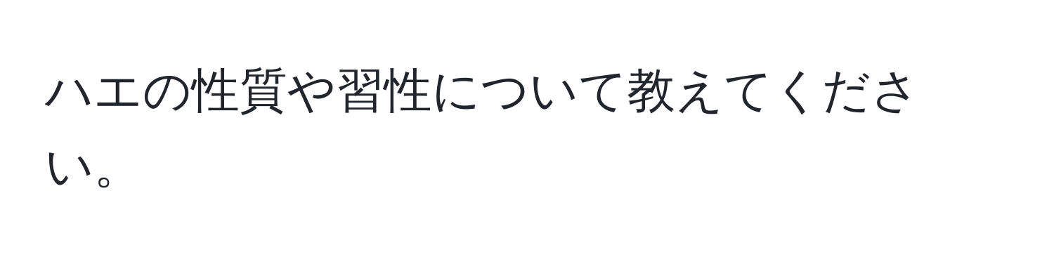 ハエの性質や習性について教えてください。